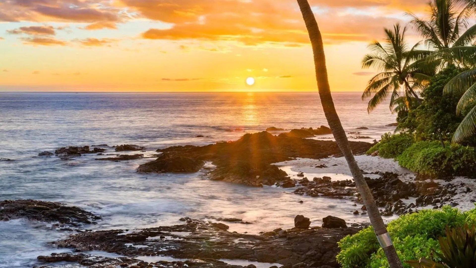 别墅 凯路亚-科纳Hale Kai O'Kona #7别墅 美国